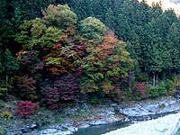 大滝温泉周辺の紅葉