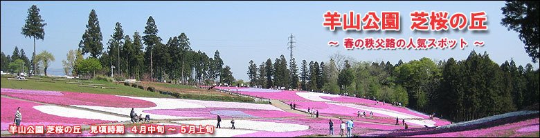 羊山公園 芝桜の丘 - 秩父路の春の人気観光スポット